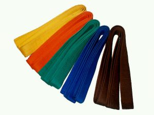 karate belts of different colors